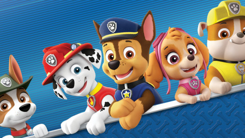 Paw Patrol: On A Roll!
