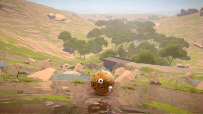 Puffer Fish